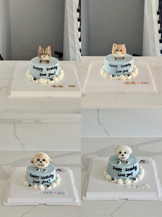 3D Mini Portrait Cake