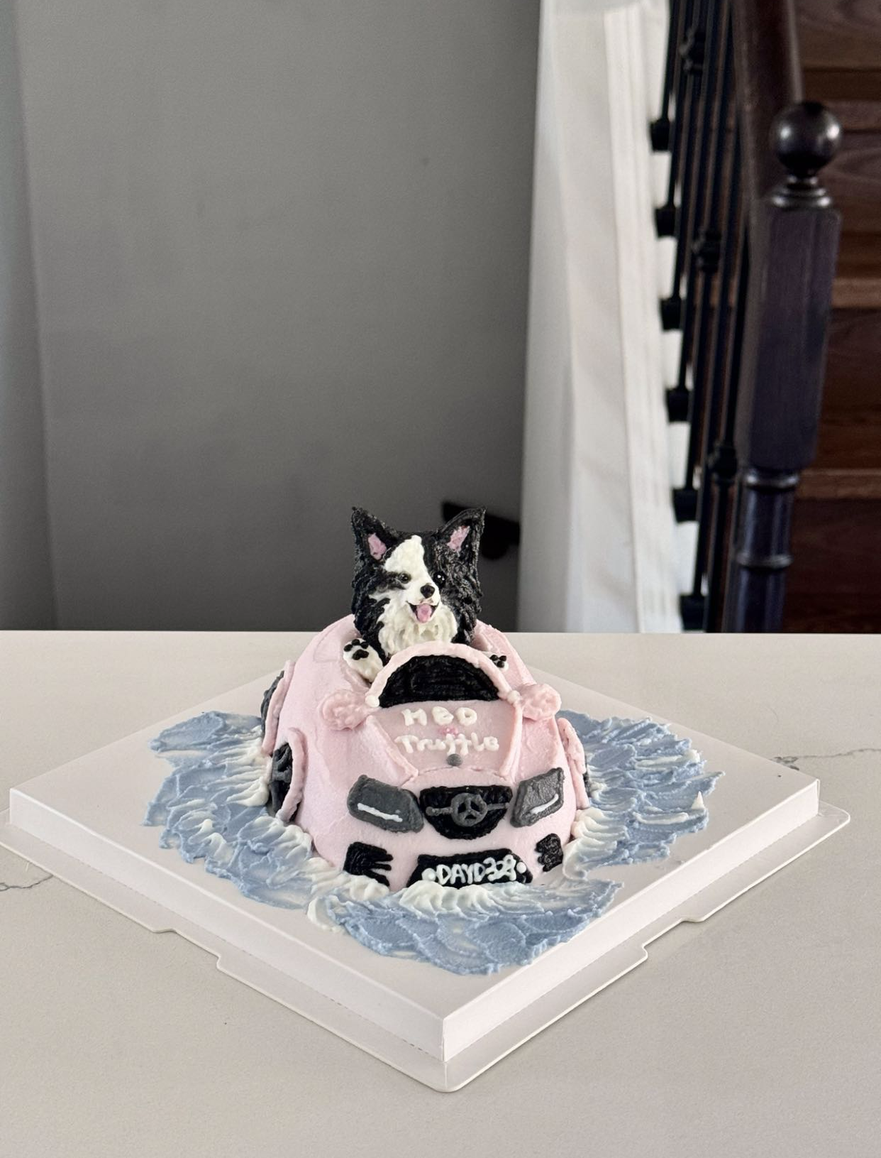 Sports Car Masterpiece | The Fast & The Furry
