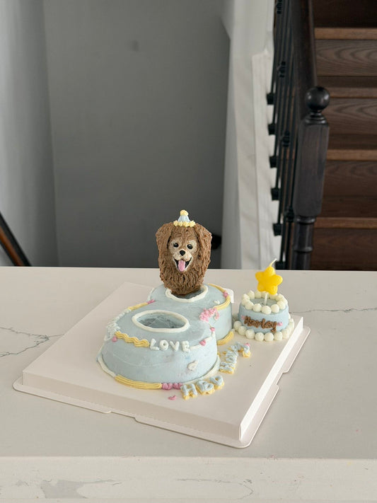 Milestone Number Portrait Masterpiece | The Joyful Journey