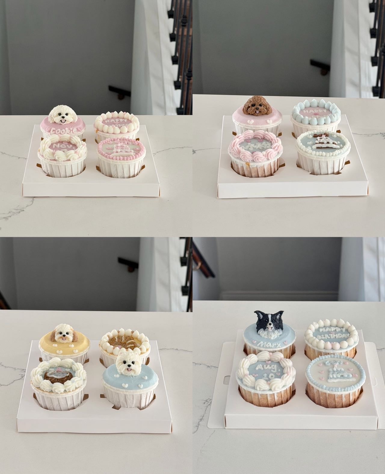 Gourmet Cupcake Set