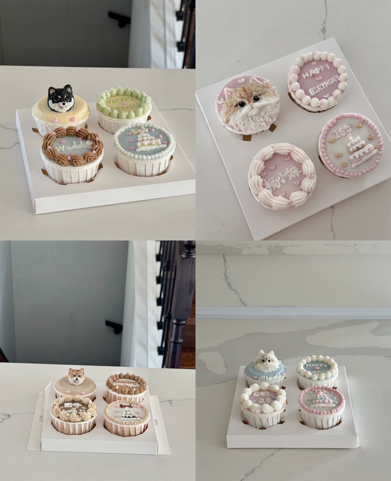 Gourmet Cupcake Set