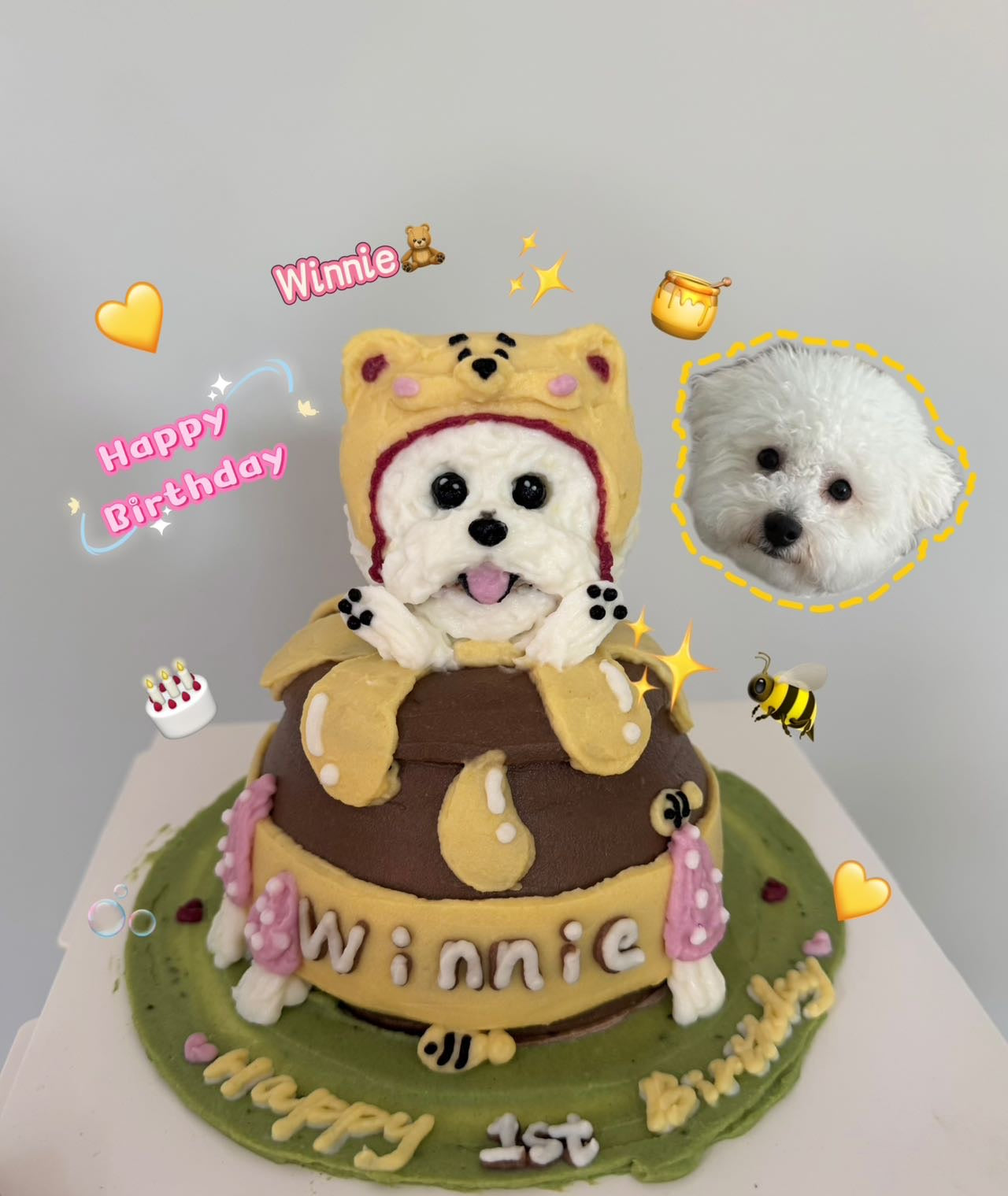 Honey Pot Bear Masterpiece | The Sweetest Scoop